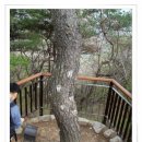 서울 한양도성(서울성곽) 이미지