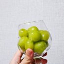 그린팜 주식회사 이미지