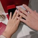 레드팬더 | 웨딩밴드 웨딩링 추천 '까르띠에 마이용팬더 화이트골드' 후기