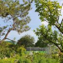 화양연화농장 이미지