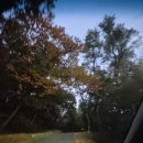 이스트힐 골프클럽 | 123골프클럽 평일 아침 후기 2인플레이