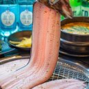 폭풍장어 - 12739 | 폭풍장어