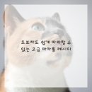 디저트 베이킹 이미지
