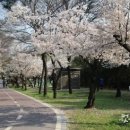 팔공노인복지관 앞 이미지