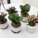 서부할인마트 이미지