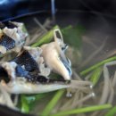 햇살복집 이미지