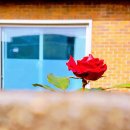 삼주1공인중개사사무소 이미지