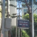 경주 샷시모헤어 교체 샷시모헤어전문업체 세정스위츠리버 시공 후기
