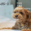 더위크앤리조트(더우프앤) 이미지