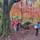 금강공원 이미지