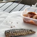 문동방파제 이미지