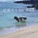 레스카페 대치점 | 8월 셋째 주 일상