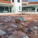 브루다 양주 이미지