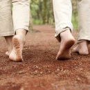 인터케어 이미지