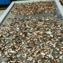 건강농장 이미지