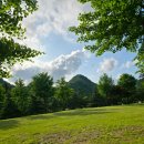 다리안 황토길 이미지