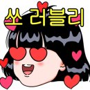 카페완도리