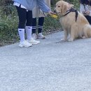 세용 농장 이미지