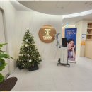 트로피피부과의원 이미지