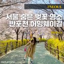허밍웨이길 | 서울 숨은 벚꽃 명소 반포천 허밍웨이길 개나리 고속터미널역