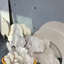 해밀유치원(해밀어린이집) 이미지