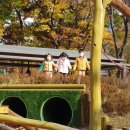 사근공원 이미지