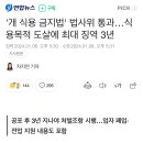 &#39;개 식용 금지법&#39; 법사위 통과…식용목적 도살에 최대 징역 3년 이미지