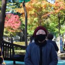 방현어린이공원 이미지