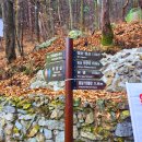 안일사앞 이미지