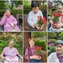 사회복지법인보현행원 노인요양원 이미지