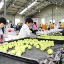 안동농협 농산물유통센터 이미지