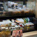 더스테이 골드독 이미지