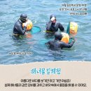 하도어촌체험휴양마을 이미지