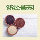 퀴노아 의료 네이버블로그