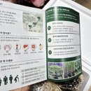 푸른팜 | [내돈내산] 겨울철 몸을 따뜻하게 해주는 새싹삼 구매후기