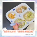 유아 도자기 식판 국산 내돈내산 후기 아기 희고희고 식판 장점 과 단점