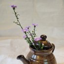 수림메디칼 이미지