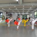 보라매태권도 이미지