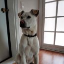 고센농장 이미지