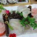 거제회센타 이미지