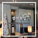 댕댕이샵 | [왁싱 안아픈곳 추천]시아 댕댕이 🐾와 함께하는 '셀렉왁싱' 저자극 슈가링 후기!