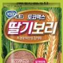 서진낚시 이미지