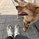 몽스김밥 이미지