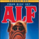 고양이는외계인 이미지