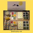 달에게 빌려온 하루 | 달에게 빌려온 하루에서의 특별한 힐링 여행