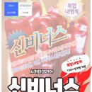 신비너스 이미지