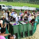 천하동물약품 이미지