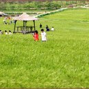 윤용하 농장 이미지