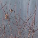 하늘바다 이미지