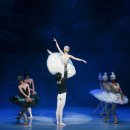 서울시티발레단 백조의 호수 이미지